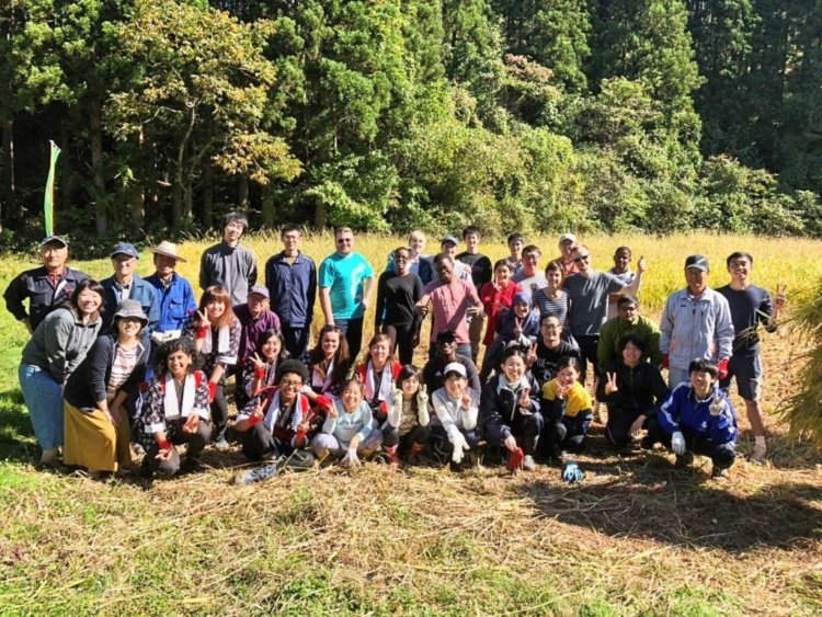 Multicultural Rice Harvesting Event #Japan