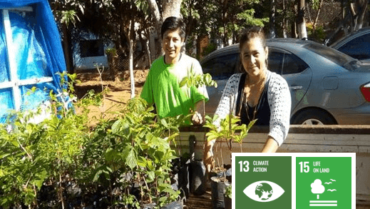 Two Hundred Seedlings Afforestation and Conference on Values and Environmental Protection #Paraguay
