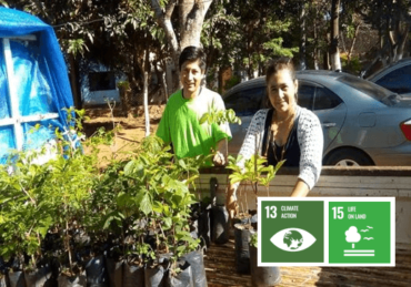 Two Hundred Seedlings Afforestation and Conference on Values and Environmental Protection #Paraguay