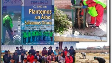 Social Activity: Planting trees in the Oruro Velodrome #Bolivia