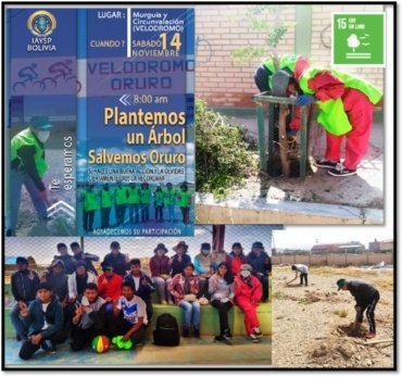 Social Activity: Planting trees in the Oruro Velodrome #Bolivia