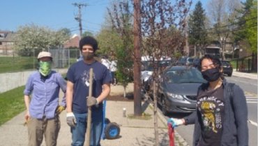 Tree Planting in Newark, New Jersey #USA