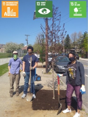 Tree Planting in Newark, New Jersey #USA