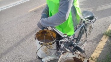 Public Service: Maintenance of the trees at the Velodrom #Bolivia