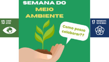 Plant a Tree and Secure the Future – World Environment Day #Brazil
