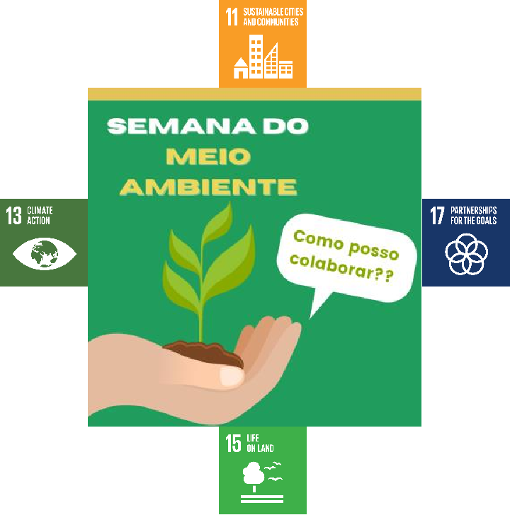 Plant a Tree and Secure the Future – World Environment Day #Brazil