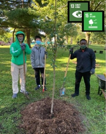 Tree Planting Volunteer Work, Indiana #USA