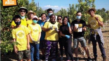 Las Vegas Service Project in Ahern Orchard #USA