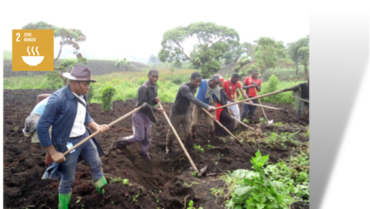 Peace Project Fighting Against Food Insecurity #DR Congo