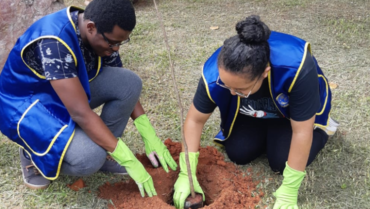 Tree-planting activity #Brazil