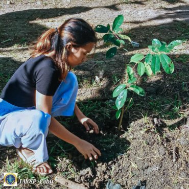 Billion Tree Planting and Growing Project #Philippines