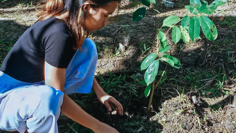 Billion Tree Planting and Growing Project #Philippines